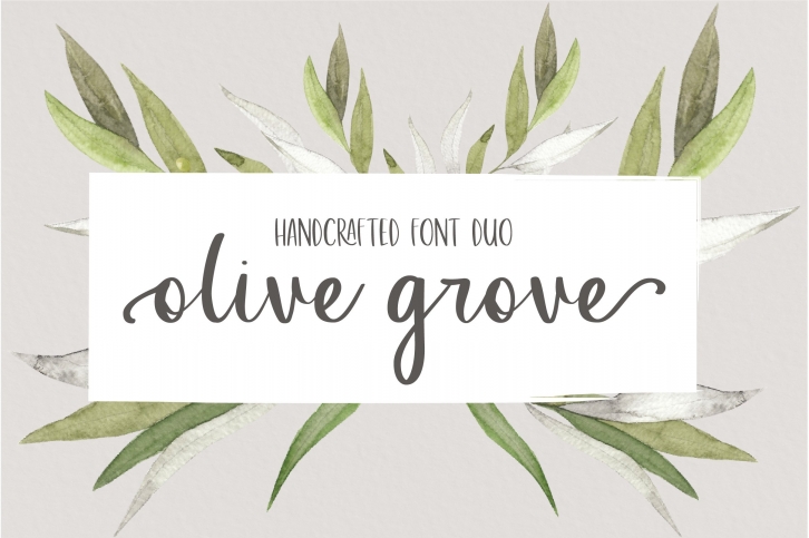 Olive Grove Font Download