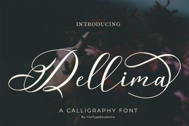 Dellima | Wedding Calligraphy Font Font Download