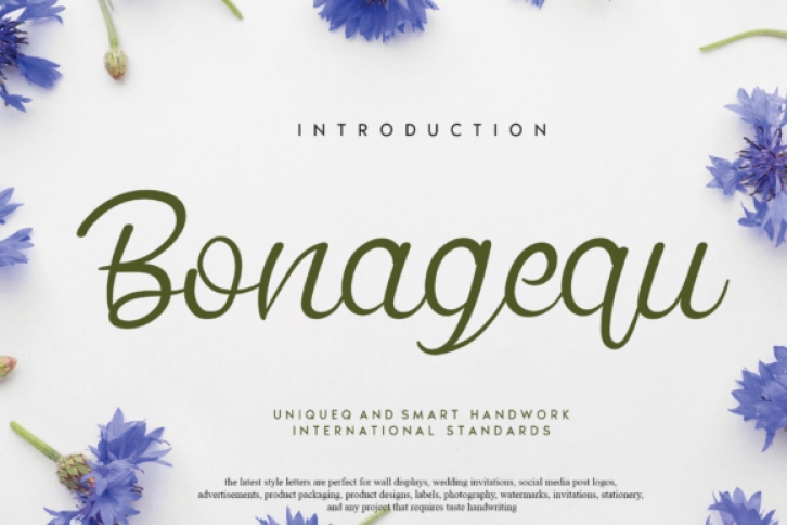 Bonagequ Font Download