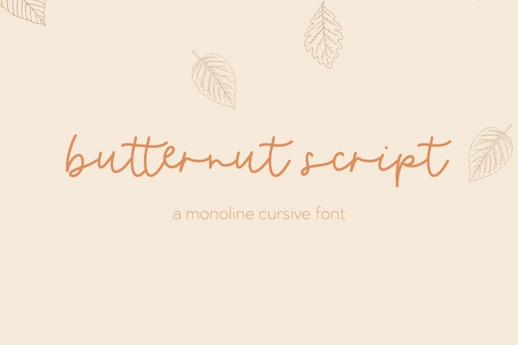 Butternut Script Font Font Download