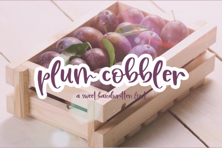 Plum Cobbler Script Font Font Download