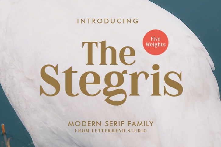 The Stegris Serif Family - 5 Weights Font Download