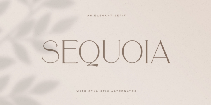 Sequoia Font Download