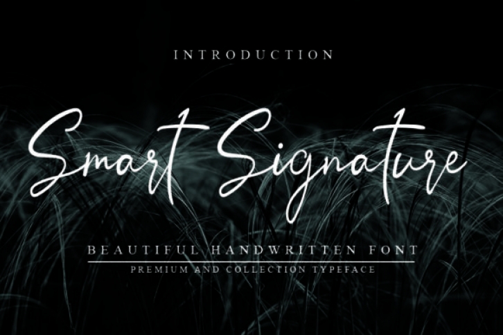 Smart Signature Font Download