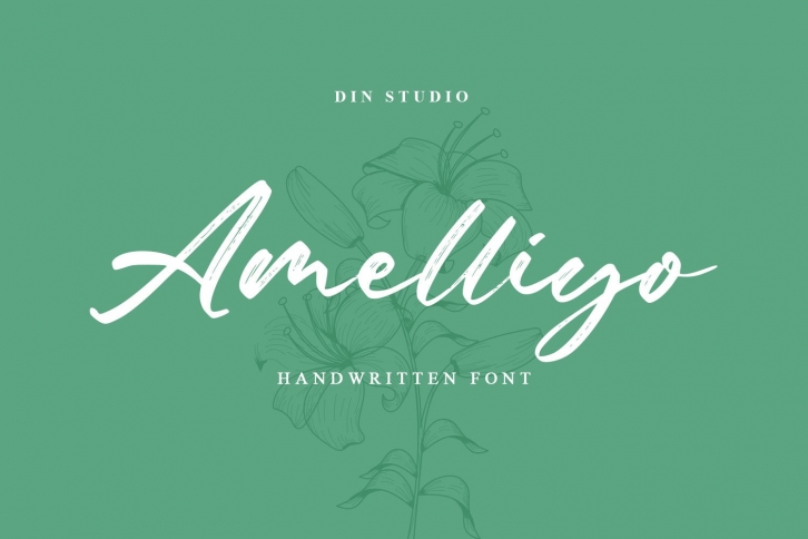 Amelliyo-Handwritten Font Font Download