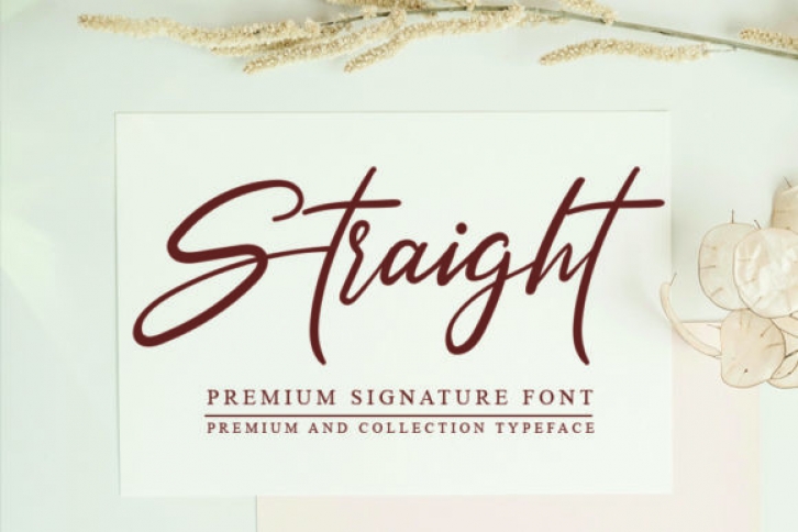 Straight Font Download