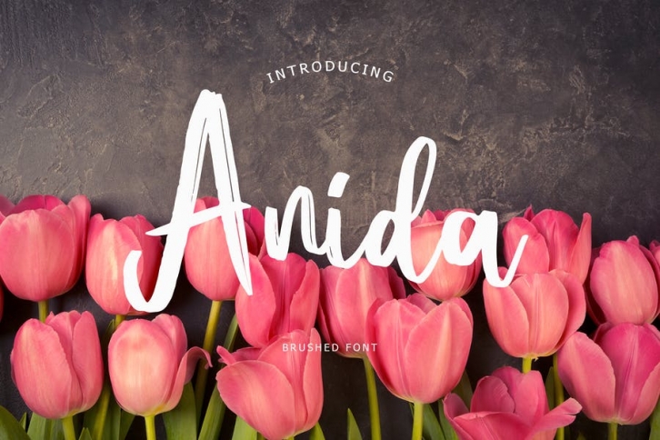 Anida Brush Script Font Font Download