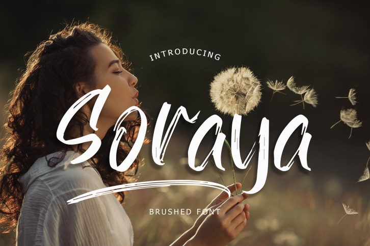 Soraya Brush Font Font Download