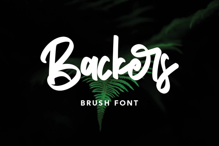 Backers Brush Font Font Download