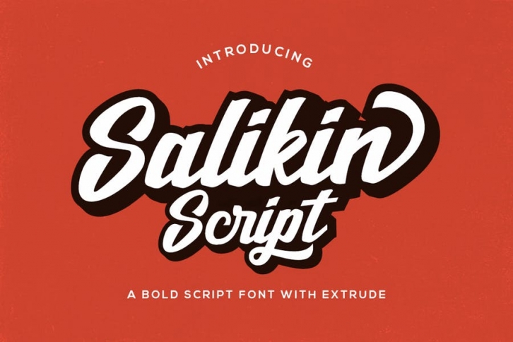 Salikin Script Font Font Download