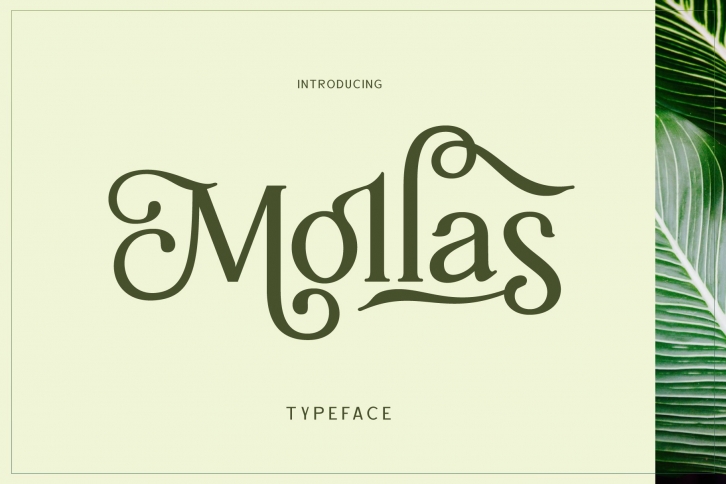 Mollas Typeface Font Download