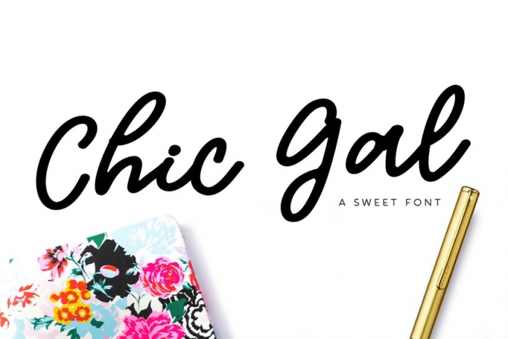 Chic Gal Modern Script Font Font Download