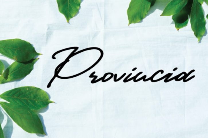 Provincia Font Download