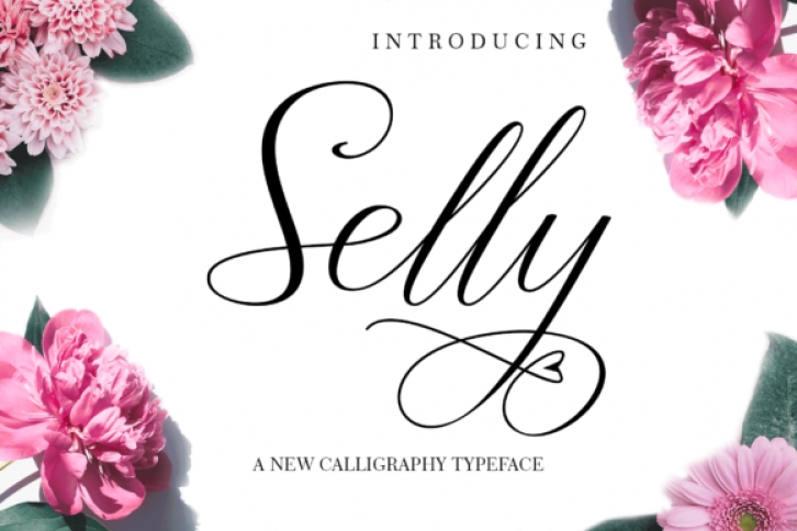 Selly Font Download