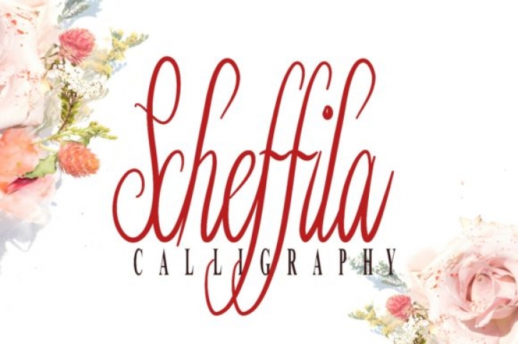 Schefilla Font Download