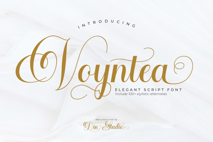 Voyntea-Beautiful Calligraphy Font Font Download