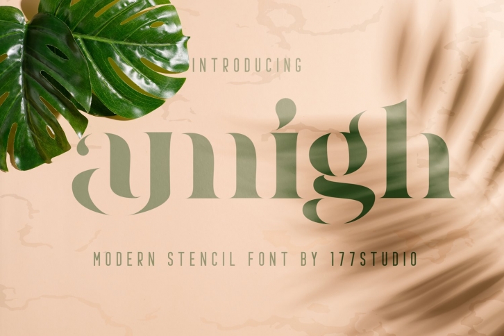 Amigh - Modern Serif Font Font Download