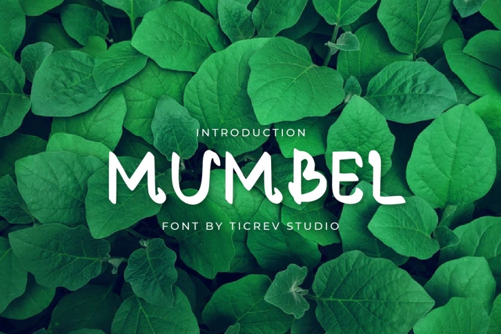 Mumbel-Display Font Font Download