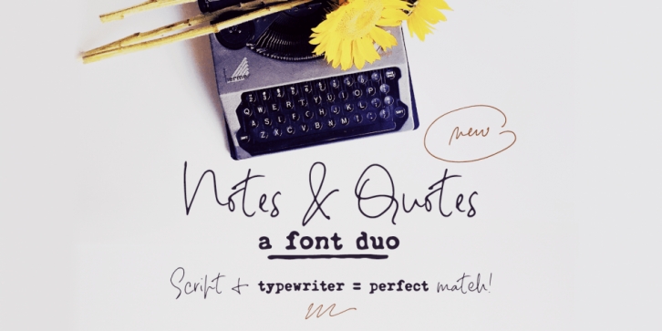 Notes And Quotes Font Duo Font Download