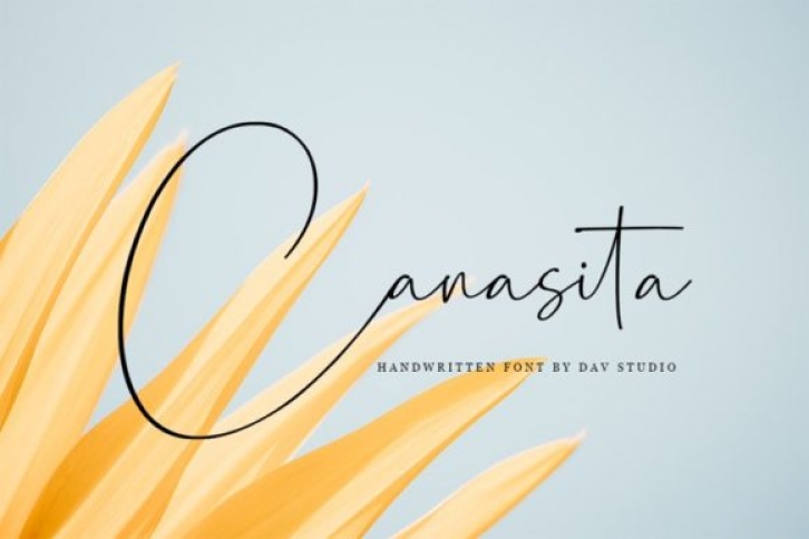 Canasita Font Download