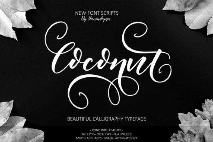 Coconut Font Download