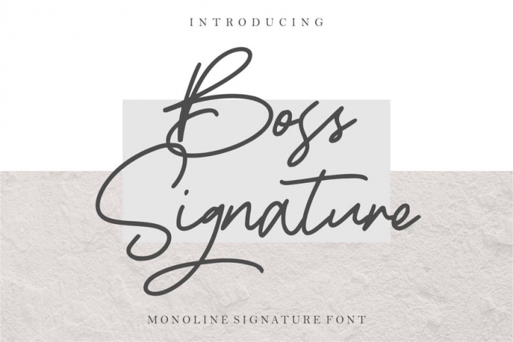 Boss Signature | Handwritten Font Font Download