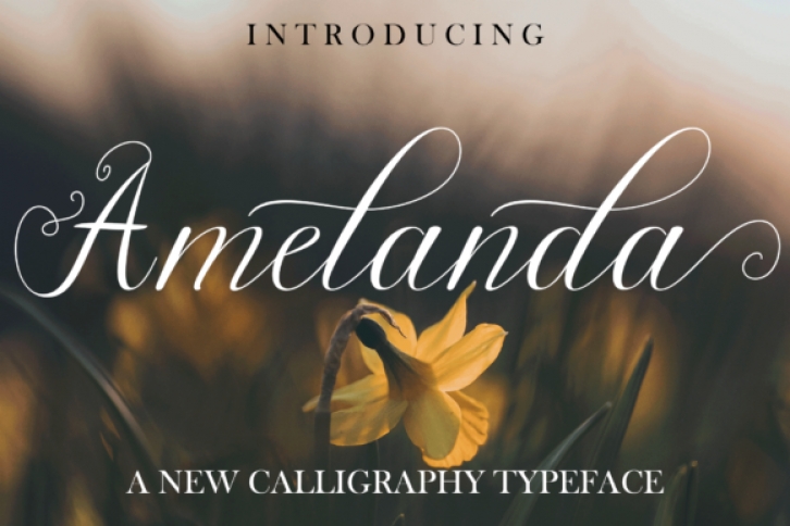 Amelanda Font Download