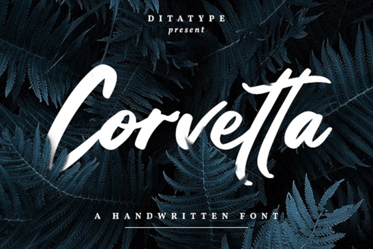 Corvetta-Bold Handwritten Font Font Download