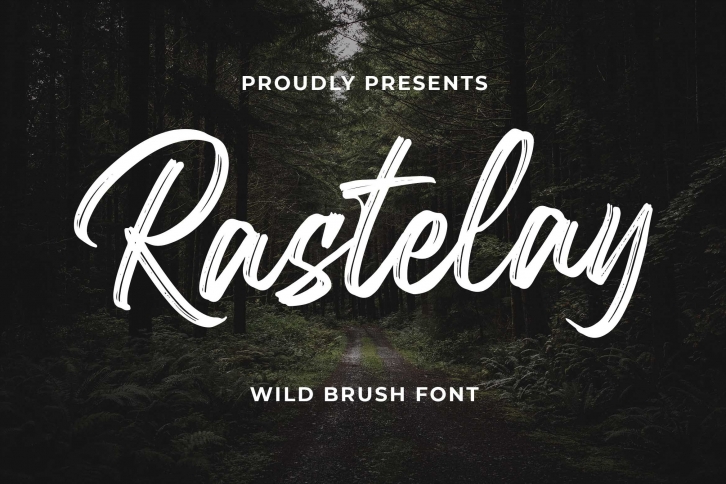 Rastelay Wild Brush Font Font Download