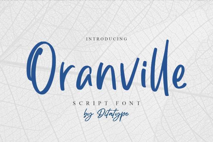 Oranville-Classy Handwritten Font Font Download