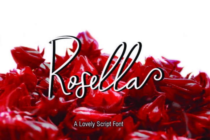 Rosella Font Download