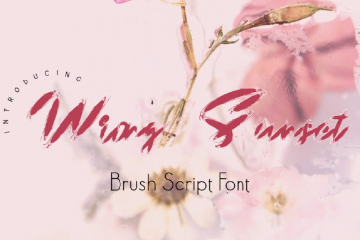 Wrong Sunset Font Download