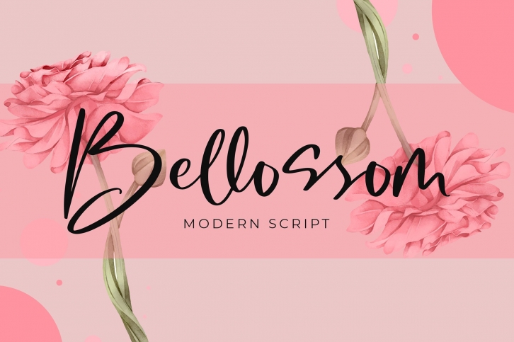 Bellossom Modern Script Font Font Download