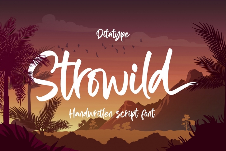 Strowild-Modern Handwritten Font Font Download