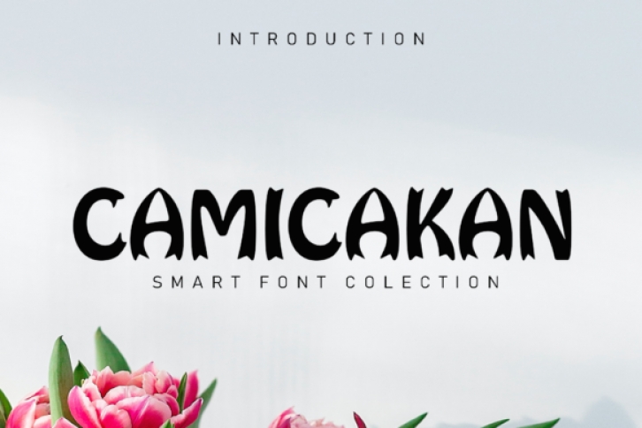 Camicakan Font Download