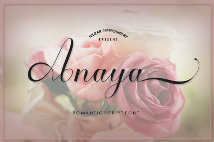 Anaya Font Download