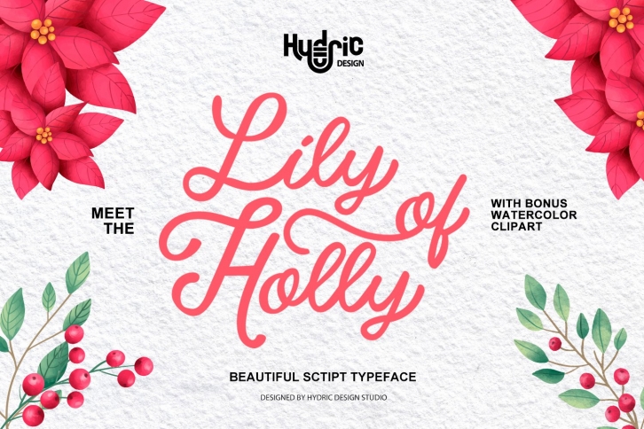 Lily Of Holy - Beauty Script Christmas Font Download