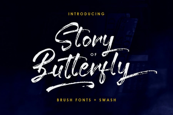 Story Of Butterfly Brush Font Download
