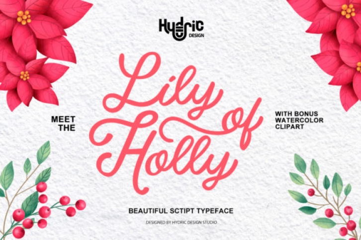 Lily of Holy Font Download