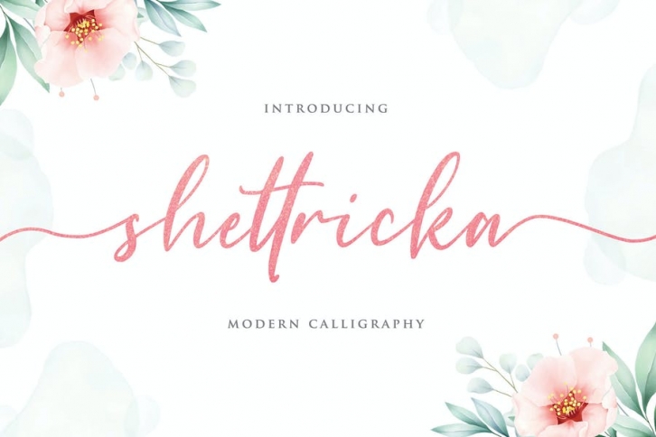 Shettricka - Modern Calligraphy Font Download