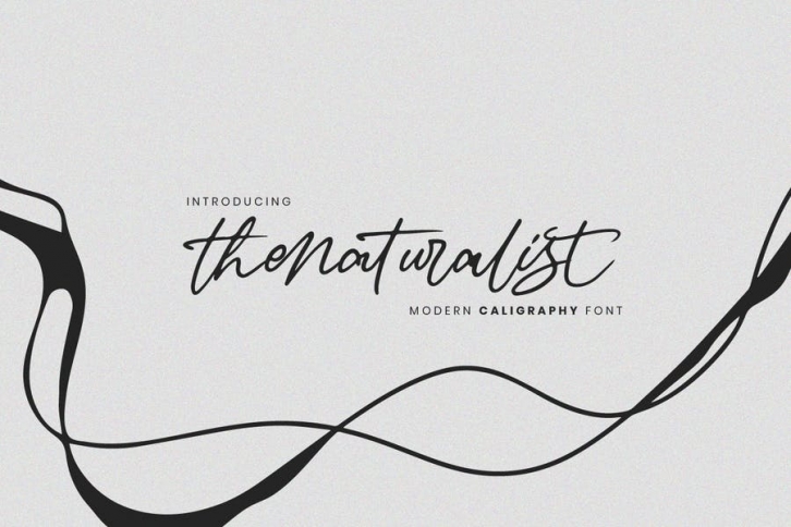 Thenaturalist Caligraphy Wedding Font Font Download