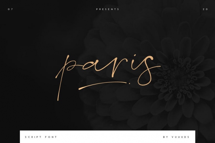 Paris Script Font Font Download