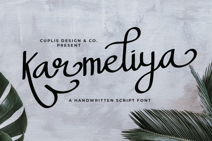 Karmeliya a Handwritten Script Font Font Download