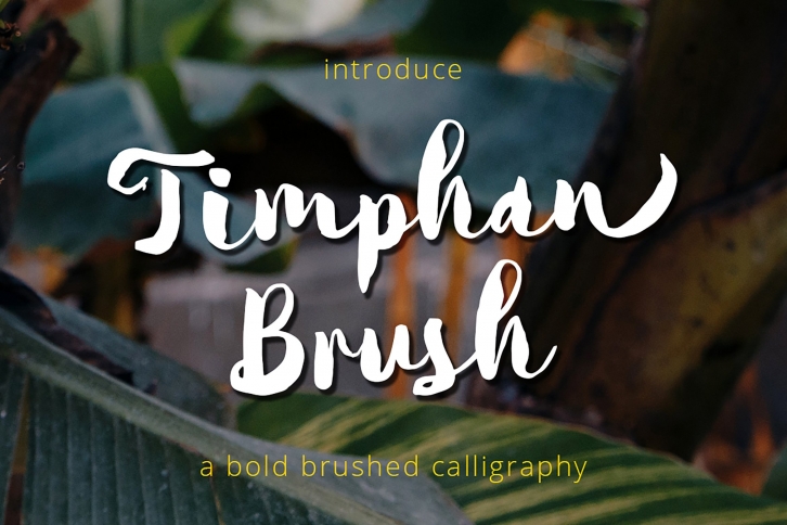 Timphan - A Fonts For Titles! Font Download