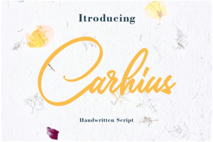 Carhius Font Download