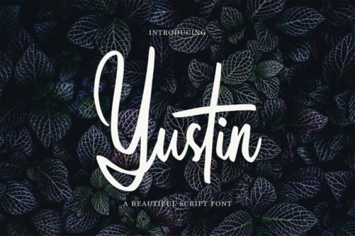 Yustin Font Download