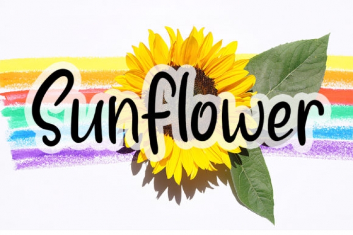 Sunflower Font Download