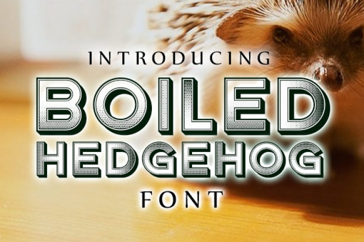 Boiled Hedgehog Font Download