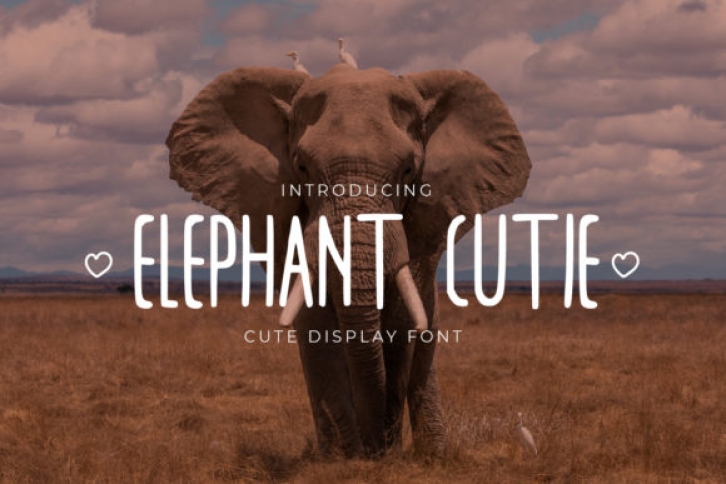 Elephant Cutie Font Download