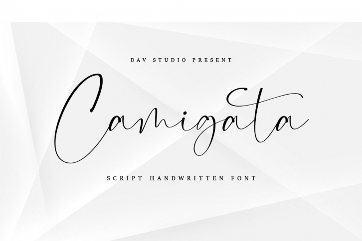 Camigata - Handwritten Font Font Download